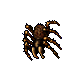 Animated appearance of Tarantula
