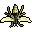 Animated appearance of Wasp